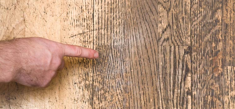 Wood Door Scratch Repair in Delray Beach